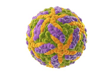 Zika virüsü beyaz arka planda izole edildi, 3 boyutlu resimleme. Brezilya ve diğer tropikal ülkelerde Zika ateşine neden olan bir virüs
