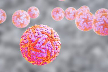 Zika virüsü, 3 boyutlu illüstrasyon. Brezilya ve diğer tropikal ülkelerde Zika ateşine neden olan bir virüs