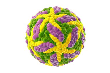 Zika virüsü beyaz arka planda izole edildi, 3 boyutlu resimleme. Brezilya ve diğer tropikal ülkelerde Zika ateşine neden olan bir virüs