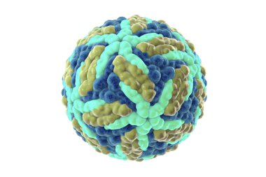 Zika virüsü beyaz arka planda izole edildi, 3 boyutlu resimleme. Brezilya ve diğer tropikal ülkelerde Zika ateşine neden olan bir virüs