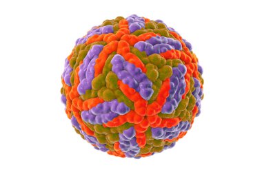 Zika virüsü beyaz arka planda izole edildi, 3 boyutlu resimleme. Brezilya ve diğer tropikal ülkelerde Zika ateşine neden olan bir virüs