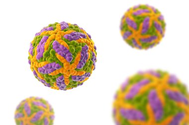 Zika virüsü beyaz arka planda izole edildi, 3 boyutlu resimleme. Brezilya ve diğer tropikal ülkelerde Zika ateşine neden olan bir virüs