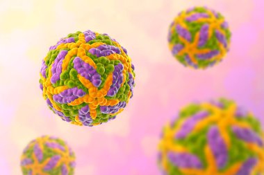Zika virüsü, 3 boyutlu illüstrasyon. Brezilya ve diğer tropikal ülkelerde Zika ateşine neden olan bir virüs