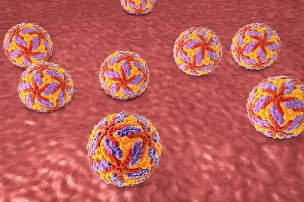 Zika virus, 3D illustration. A virus which causes Zika fever found in Brazil and other tropical countries