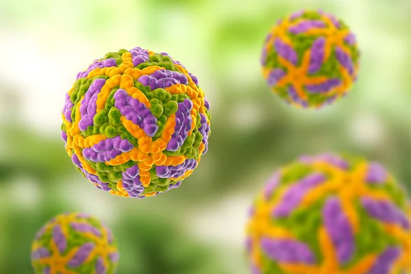 Zika virüsü, 3 boyutlu illüstrasyon. Brezilya ve diğer tropikal ülkelerde Zika ateşine neden olan bir virüs