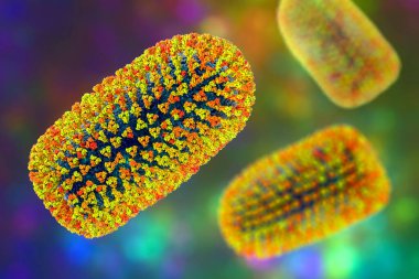 Kuduz virüsü olan Mokola virüsü, kuduz virüsü, özellikle kedilerden izole edilmiş, Sahra altı Afrika 'da, hayvanlarda kuduza benzer bir hastalığa neden olur.