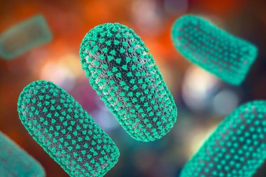 Kuduz virüsleri, 3 boyutlu illüstrasyon. İnsanlarda ve hayvanlarda kuduz hastalıklarına neden olan nörotropik bir virüs.