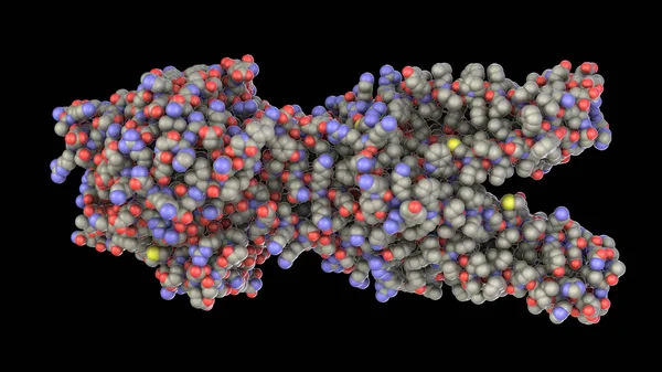 Multidrug Transporter Molecule Causes Multidrug Resistance Bacterial Cancer Cells Illustration — Photo