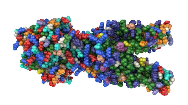 Multidrug Transporter Molecule Causes Multidrug Resistance Bacterial Cancer Cells Illustration — стоковое фото