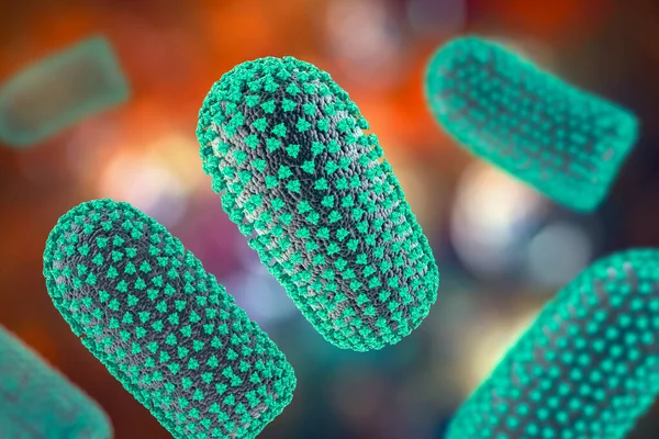 Kuduz virüsleri, 3 boyutlu illüstrasyon. İnsanlarda ve hayvanlarda kuduz hastalıklarına neden olan nörotropik bir virüs.