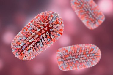 Kuduz virüsü olan Mokola virüsü, kuduz virüsü, özellikle kedilerden izole edilmiş, Sahra altı Afrika 'da, hayvanlarda kuduza benzer bir hastalığa neden olur.