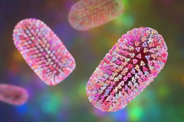 Kuduz virüsü olan Mokola virüsü, kuduz virüsü, özellikle kedilerden izole edilmiş, Sahra altı Afrika 'da, hayvanlarda kuduza benzer bir hastalığa neden olur.