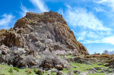 Afyonkarahisar castle on the rock with blossoming cherry trees in spring season. Afyon. Turkey