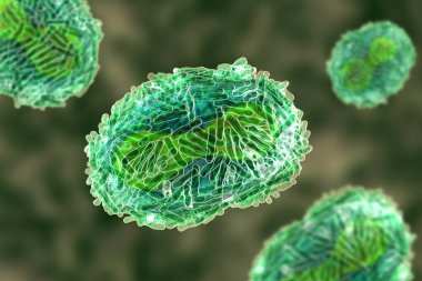 Maymun çiçeği virüsü, 3 boyutlu illüstrasyon. Poxviridae familyasından bir zoonotik virüs, çiçek benzeri bir hastalığa neden olur.