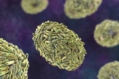 Maymun çiçeği virüsü, 3 boyutlu illüstrasyon. Poxviridae familyasından bir zoonotik virüs, çiçek benzeri bir hastalığa neden olur.