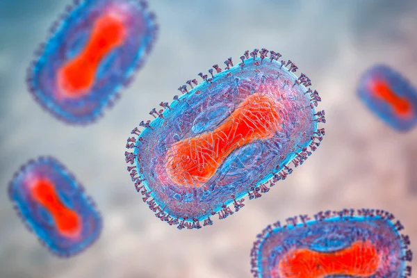 天然痘ウイルス 3Dイラスト ポキサンビリダエ科の動物性ウイルスは 天然痘 水痘のような病気を引き起こす — ストック写真