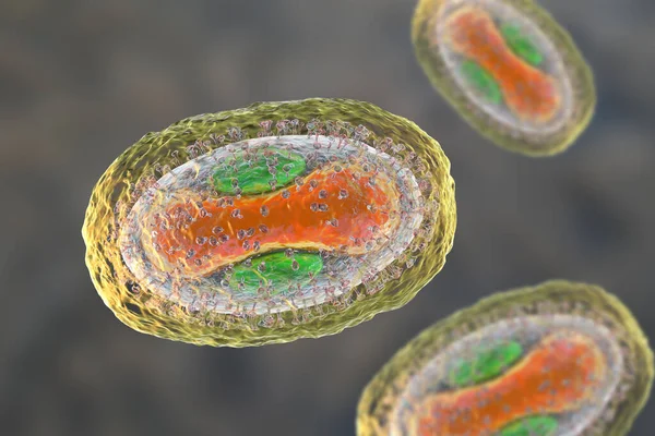 天然痘ウイルス 3Dイラスト ポキサンビリダエ科の動物性ウイルスは 天然痘 水痘のような病気を引き起こす — ストック写真