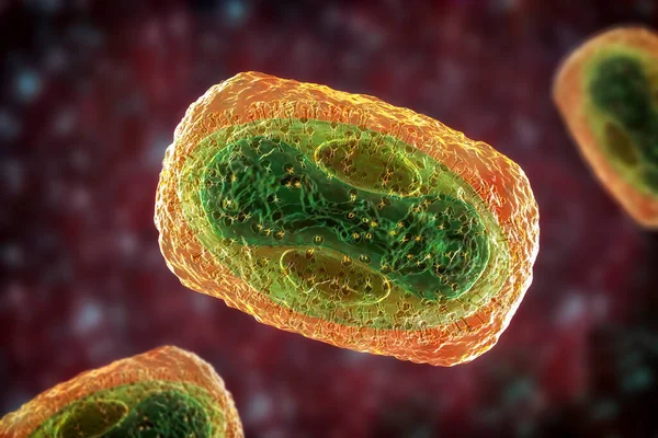 Apenpokkenvirus Illustratie Een Zoönotisch Virus Uit Familie Poxviridae Veroorzaakt Apen — Stockfoto