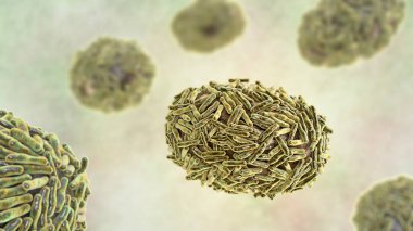 Maymun çiçeği virüsü, 3 boyutlu illüstrasyon. Poxviridae familyasından bir zoonotik virüs, çiçek benzeri bir hastalığa neden olur.