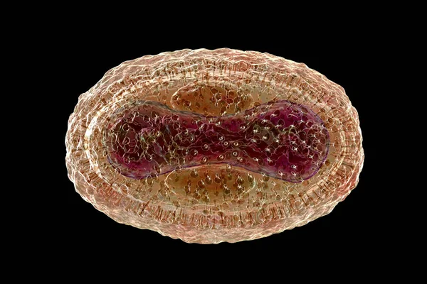 Virus Variole Singe Illustration Virus Zoonotique Famille Des Poxviridae Provoque — Photo