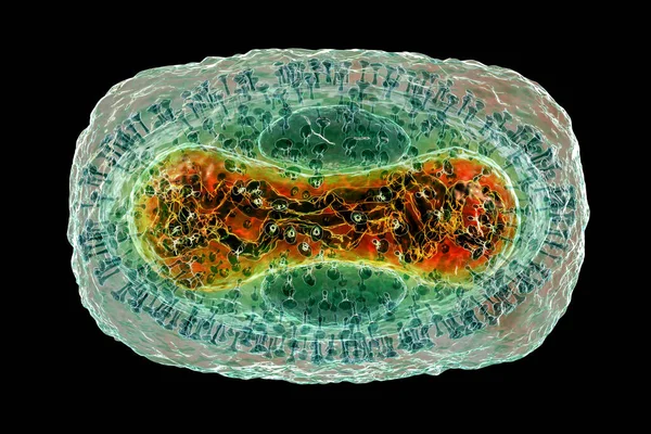 猴痘病毒 3D插图 一种来自Poxviridae家族的动物病毒 引起猴痘 一种类似痘痘的疾病 — 图库照片