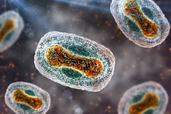 Apenpokkenvirus Illustratie Een Zoönotisch Virus Uit Familie Poxviridae Veroorzaakt Apen — Stockfoto