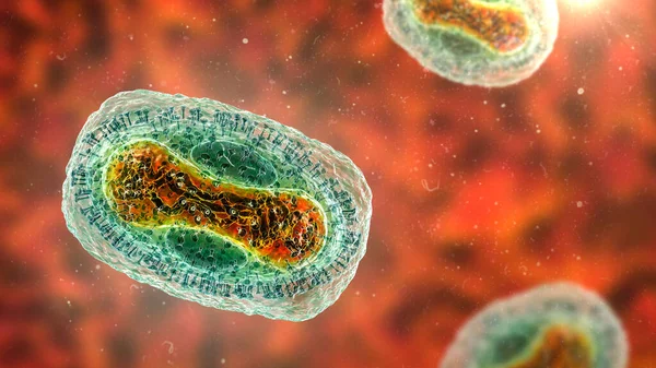 Pockenvirus Illustration Ein Zoonotisches Virus Aus Der Familie Der Poxviridae — Stockfoto