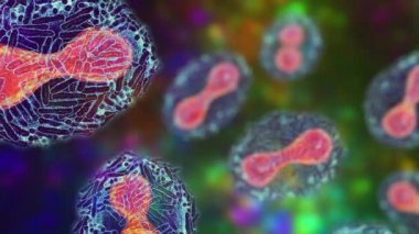 Maymun çiçeği virüsleri insan hücrelerini enfekte ediyor, 3 boyutlu illüstrasyon. Poxviridae familyasından bir zoonotik virüs, çiçek benzeri bir hastalığa neden olur.