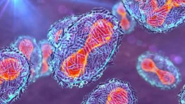 Maymun çiçeği virüsleri insan hücrelerini enfekte ediyor, 3 boyutlu illüstrasyon. Poxviridae familyasından bir zoonotik virüs, çiçek benzeri bir hastalığa neden olur.