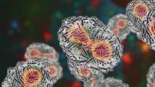 Вирусы Оспы Поражающие Клетки Человека Иллюстрация Зоонотический Вирус Семейства Poxviridae — стоковое видео