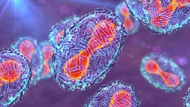 ヒトの細胞に感染する天然痘ウイルス 3Dイラスト ポキサンビリダエ科の動物性ウイルスは 天然痘 水痘のような病気を引き起こす — ストック動画