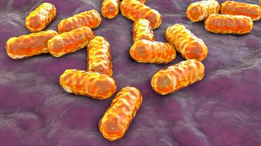 Enterobacter bakterisi, gram-negatif çubuk şekilli bakteri, normal bağırsak mikrobiyomu parçası ve hastane tarafından satın alınan nosokomik antibiyotiğe dayanıklı enfeksiyonlar, 3 boyutlu illüstrasyon.