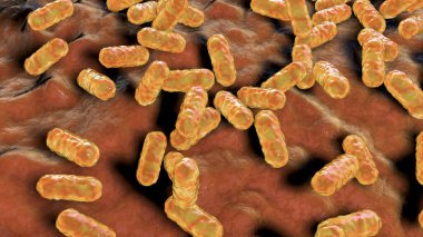 Enterobacter bakterisi, gram-negatif çubuk şekilli bakteri, normal bağırsak mikrobiyomu parçası ve hastane tarafından satın alınan nosokomik antibiyotiğe dayanıklı enfeksiyonlar, 3 boyutlu illüstrasyon.