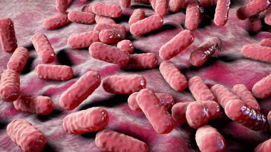 Enterobacter bakterisi, gram-negatif çubuk şekilli bakteri, normal bağırsak mikrobiyomu parçası ve hastane tarafından satın alınan nosokomik antibiyotiğe dayanıklı enfeksiyonlar, 3 boyutlu illüstrasyon.