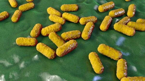 Enterobacter bacteria, gram-negative rod-shaped bacteria, part of normal microbiome of intestine and causative agents of hospital-aquired nosocomial antibiotic-resistant infections, 3D illustration