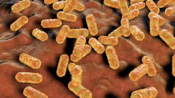 Enterobacter bakterisi, gram-negatif çubuk şekilli bakteri, normal bağırsak mikrobiyomu parçası ve hastane tarafından satın alınan nosokomik antibiyotiğe dayanıklı enfeksiyonlar, 3 boyutlu illüstrasyon.