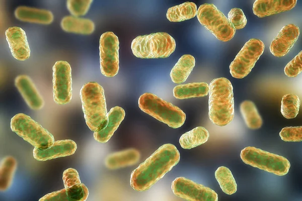 Bactéries Entérobactéries Gram Négatif Forme Bâtonnet Partie Microbiome Normal Intestin — Photo
