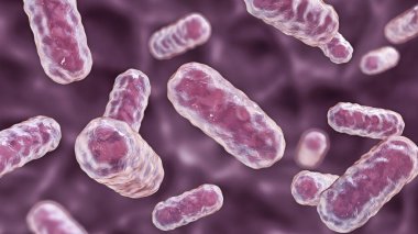 Enterobacter bakterisi, gram-negatif çubuk şekilli bakteri, normal bağırsak mikrobiyomu parçası ve hastane tarafından satın alınan nosokomik antibiyotiğe dayanıklı enfeksiyonlar, 3 boyutlu illüstrasyon.