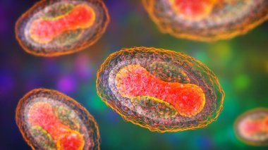 Yumuşakça bulaşıcı virüs, 3 boyutlu illüstrasyon. Poxvirus ailesinden bir virüs, deri enfeksiyonuna neden olur.