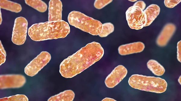 Enterobacter bacteria, gram-negative rod-shaped bacteria, part of normal microbiome of intestine and causative agents of hospital-aquired nosocomial antibiotic-resistant infections, 3D illustration