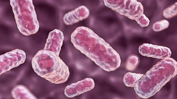 Enterobacter bacteria, gram-negative rod-shaped bacteria, part of normal microbiome of intestine and causative agents of hospital-aquired nosocomial antibiotic-resistant infections, 3D illustration