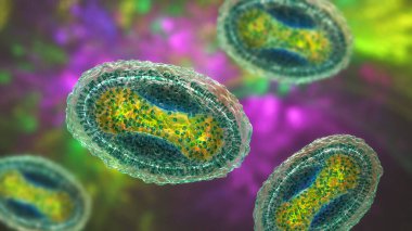 Yumuşakça bulaşıcı virüs, 3 boyutlu illüstrasyon. Poxvirus ailesinden bir virüs, deri enfeksiyonuna neden olur.