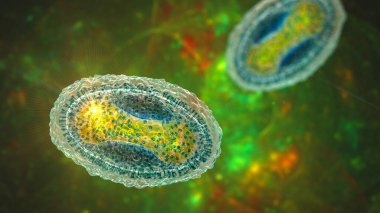 Yumuşakça bulaşıcı virüs, 3 boyutlu illüstrasyon. Poxvirus ailesinden bir virüs, deri enfeksiyonuna neden olur.