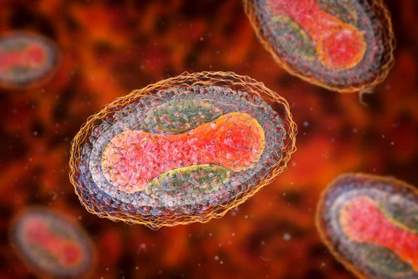 Molluscum contagiosum virus, 3D illustration. A virus from Poxvirus family, causes skin infection with numerous small raised lesions