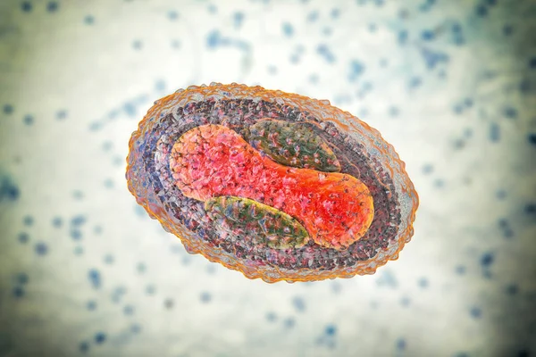 Virus Del Molusco Contagioso Ilustración Virus Familia Poxvirus Causa Infección — Foto de Stock