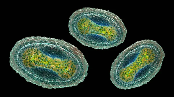 Вірус Molluscum Contagiosum Ілюстрація Вірус Родини Poxvirus Спричиняє Зараження Шкіри — стокове фото