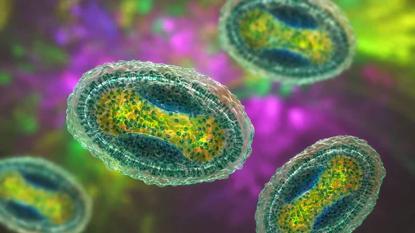 Molluscum Contagiosum Virus Illustration Virus Poxvirus Family Causes Skin Infection — Stockfoto