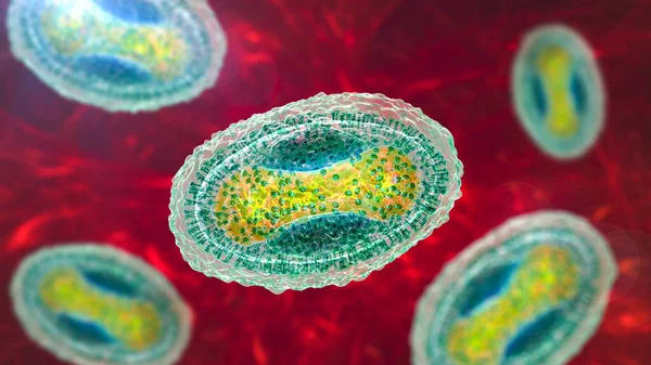 Yumuşakça Bulaşıcı Virüs Boyutlu Illüstrasyon Poxvirus Ailesinden Bir Virüs Deri — Stok fotoğraf
