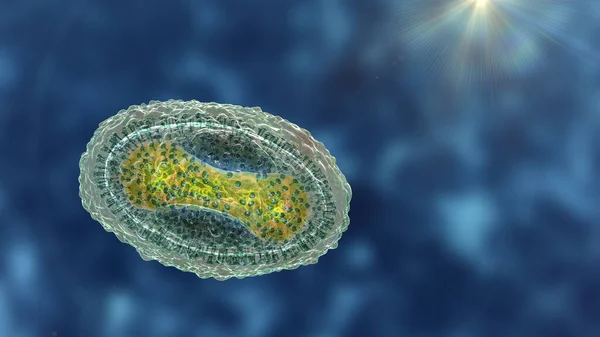 Molluscum contagiosum virus, 3D illustration. A virus from Poxvirus family, causes skin infection with numerous small raised lesions