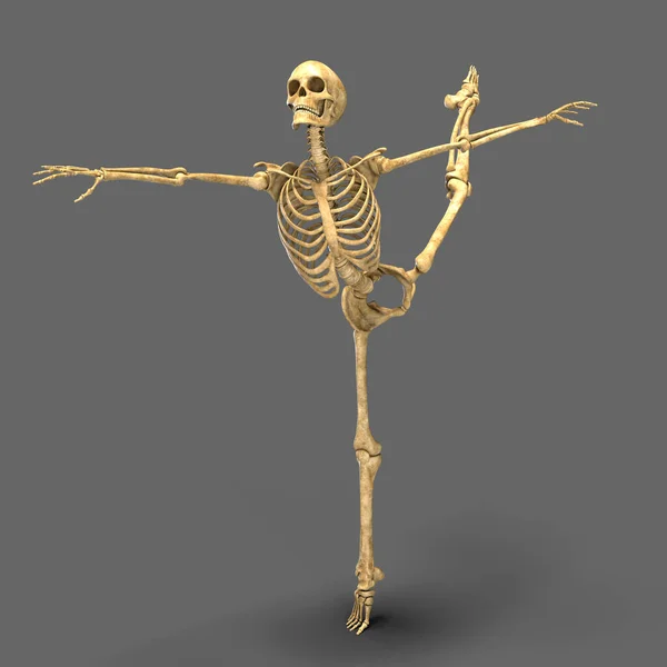 舞蹈与芭蕾舞的解剖 展示芭蕾舞骨骼活动的3D图解 — 图库照片